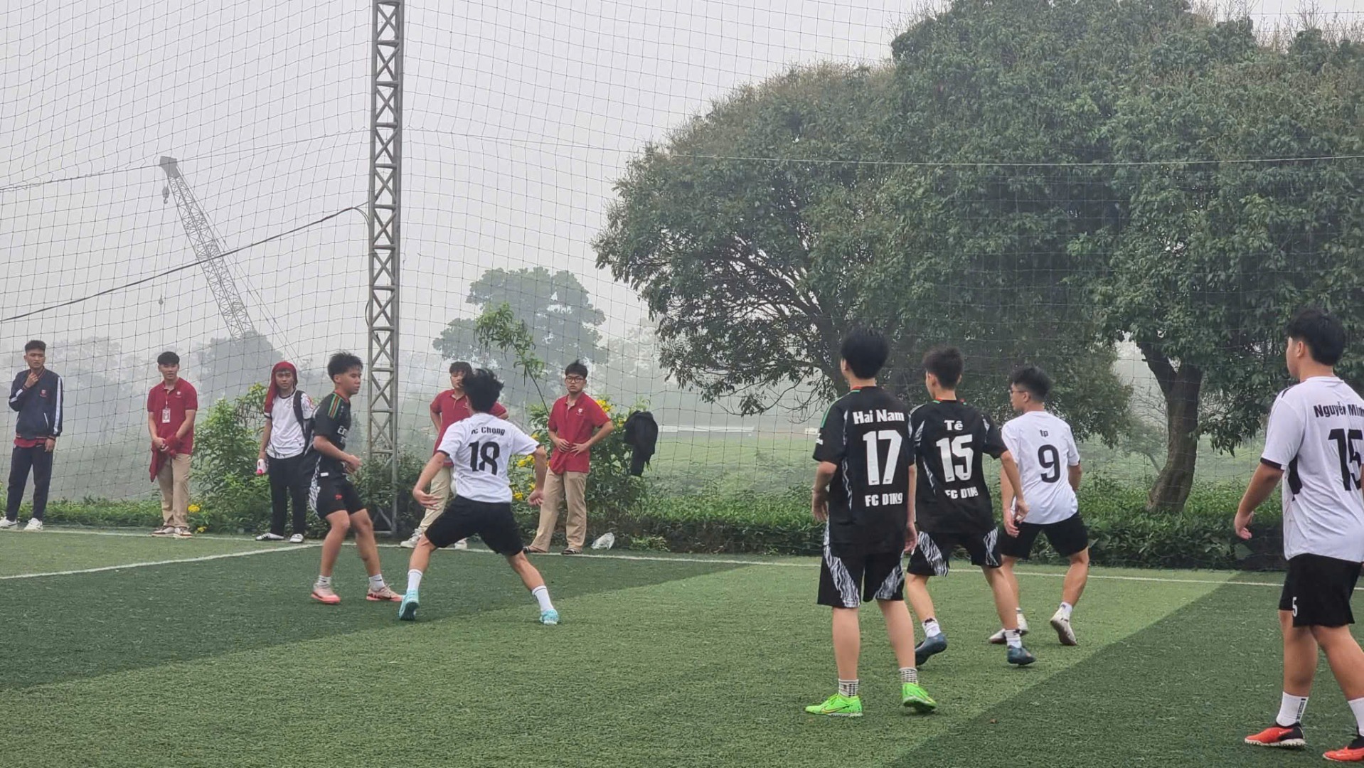 11